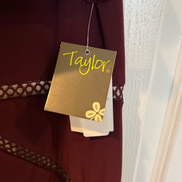 Taylor Burgundy Blush Ruffle Sleeve High Low Knit Midi Dress - Picture 6 of 9